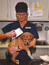 Puppy checking microchip