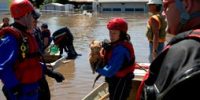 actf-flood actf-flood