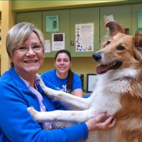 adopter-at-cv Adoptions at the HSMO chesterfield valley center