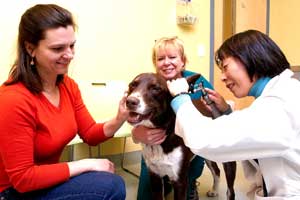 World Class veterinary care at the new Best Buddy Center