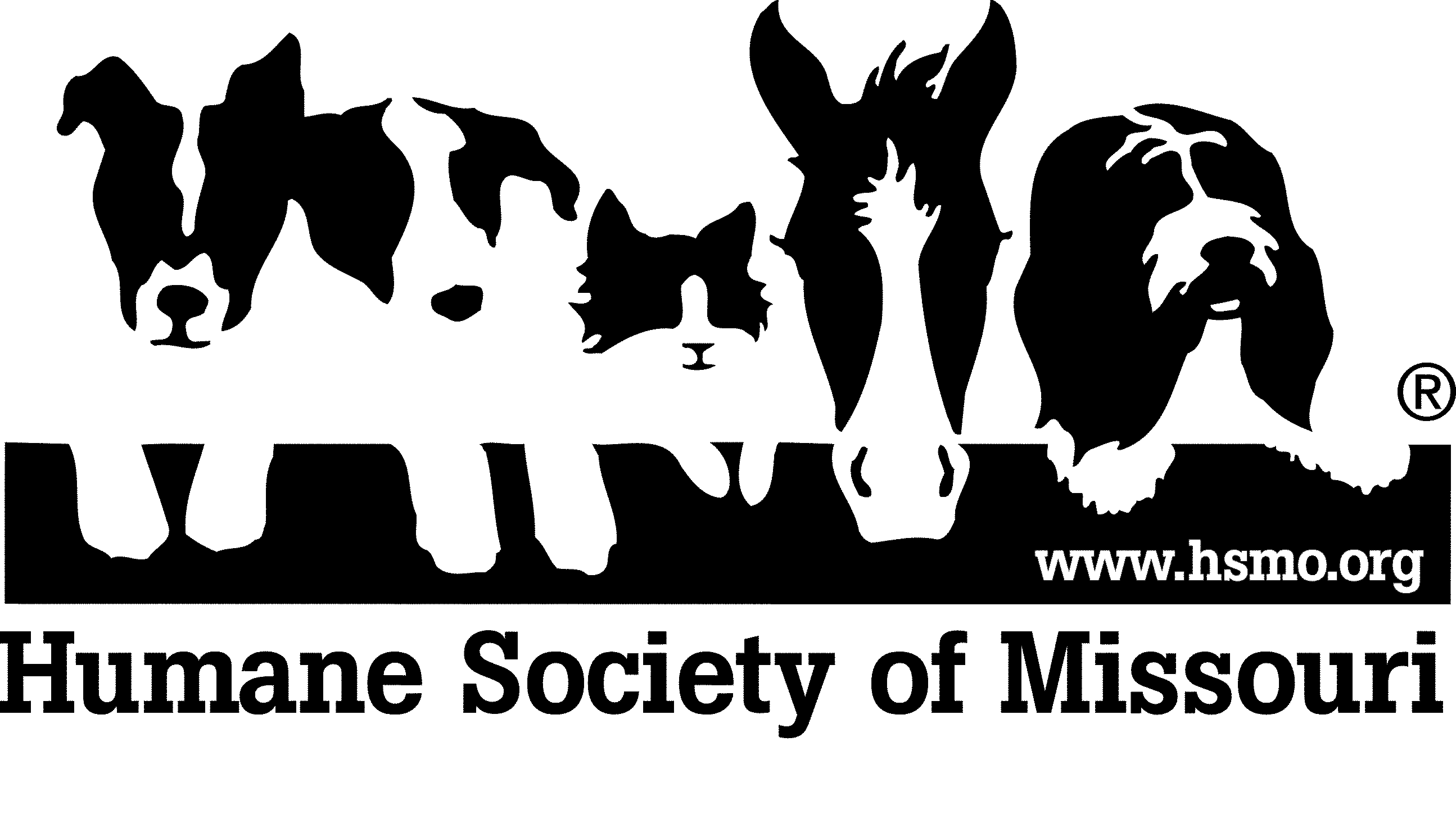 Human society. Missouri Humane Society. Dubuque Humane Society Dogs. Pets photo. Humane Society of Lincoln County loses funding for animal Control, closes Doors.