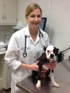 Veterinarian Dr. Stice examines a dog