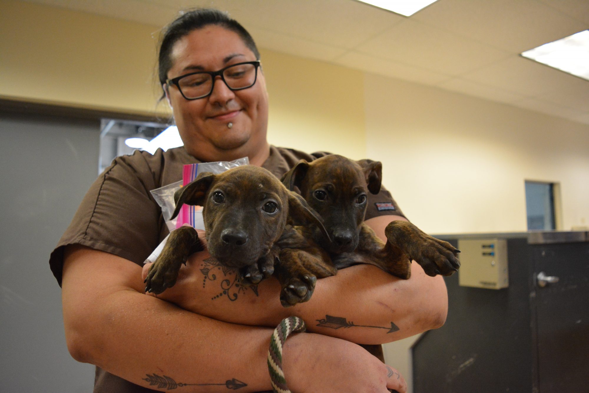 Puppies from Houston arrive at HSMO