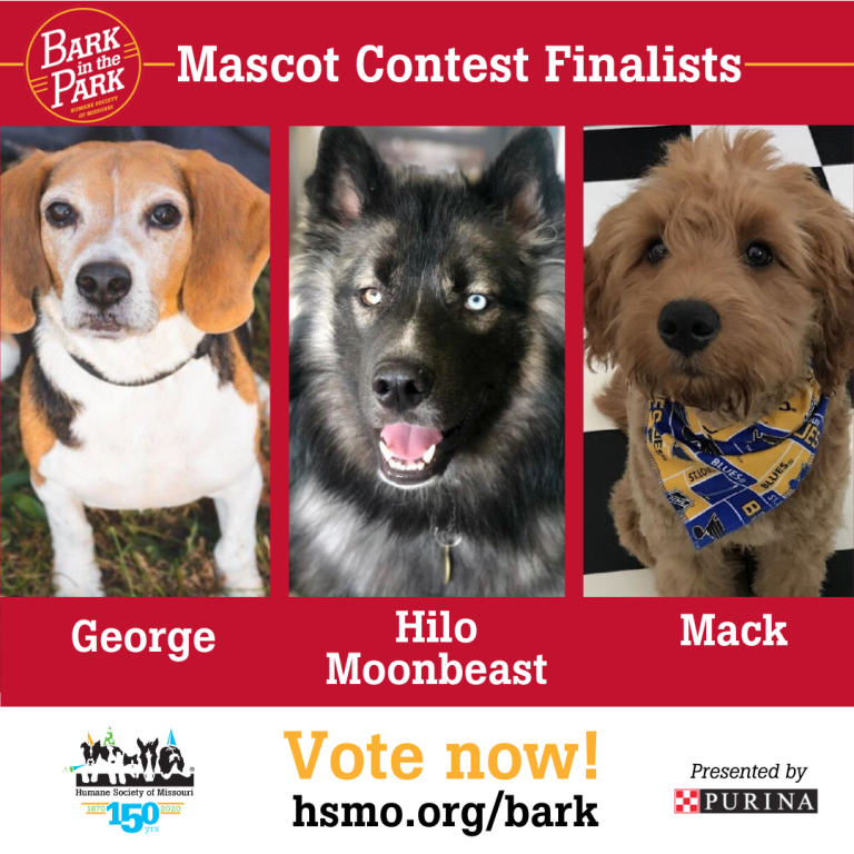 Vote Now for the Bark in the Park Mascot! Humane Society of Missouri