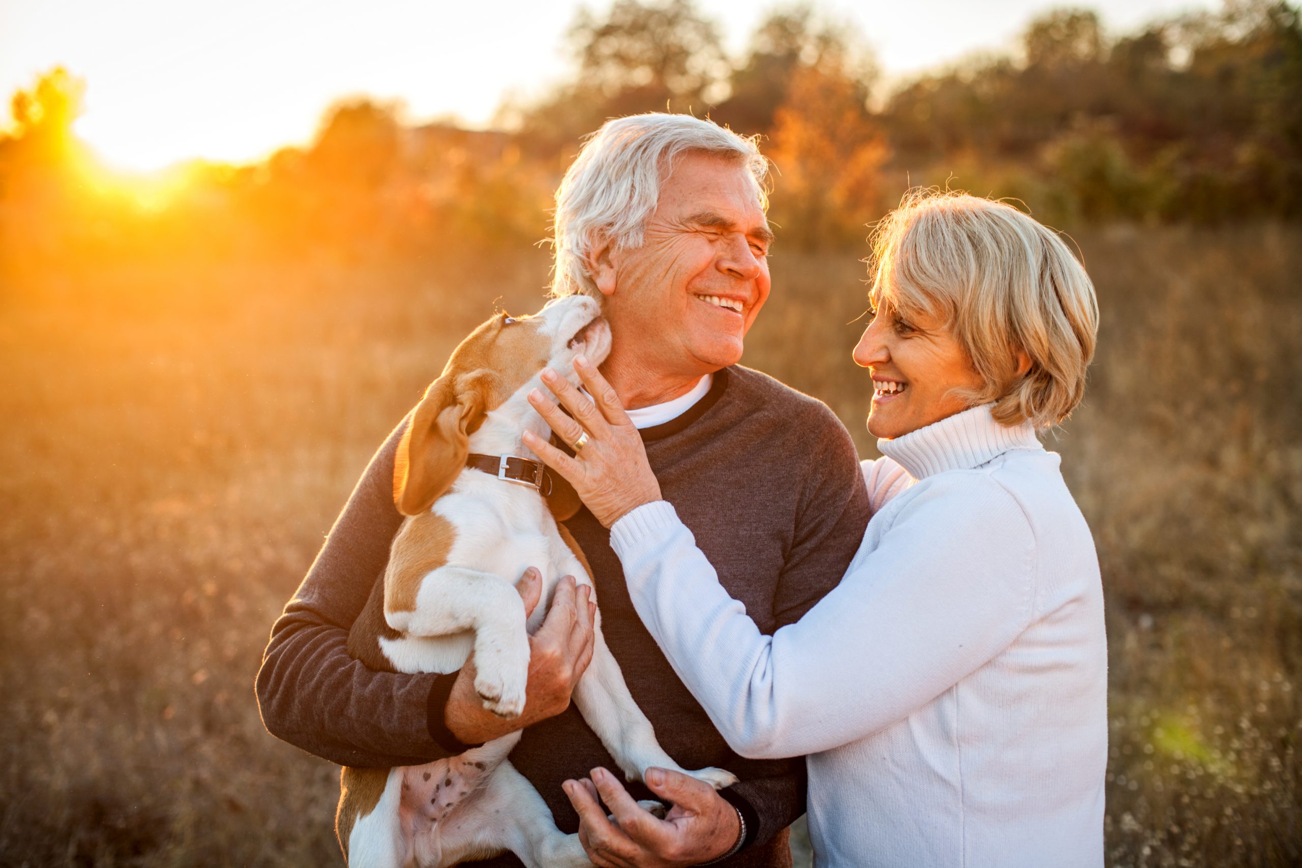 older couple holding dog in the outdoors