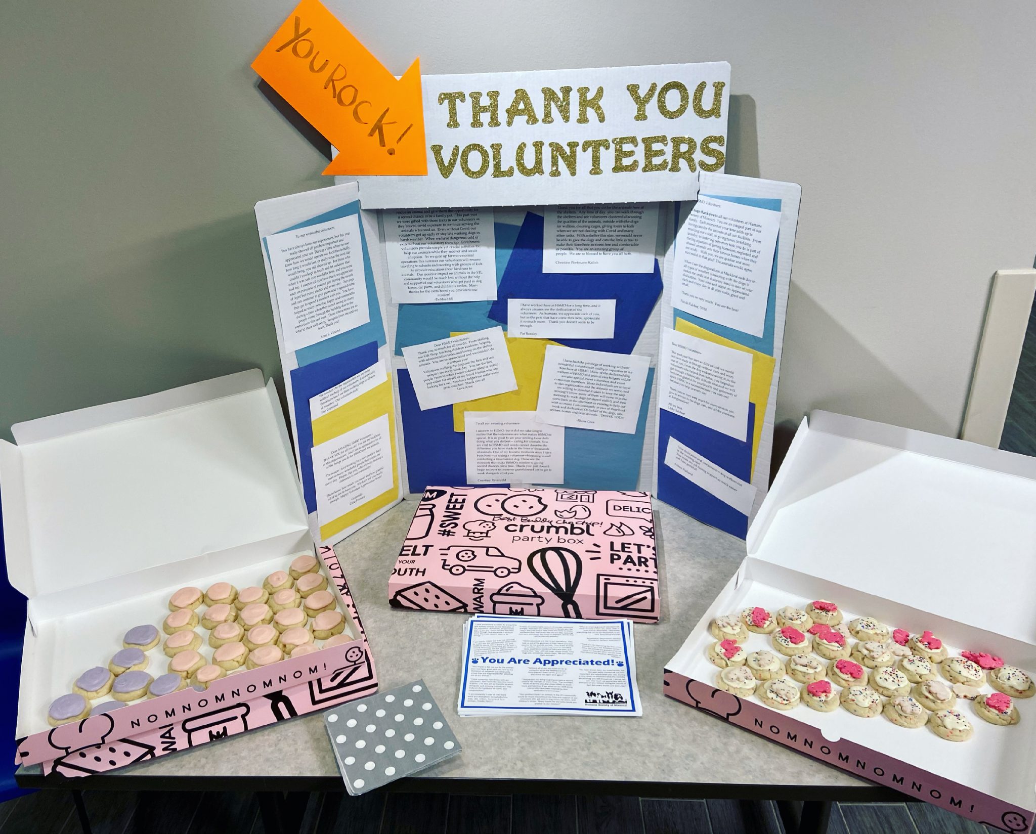 HSMO Celebrates its Volunteers During National Volunteer Appreciation ...