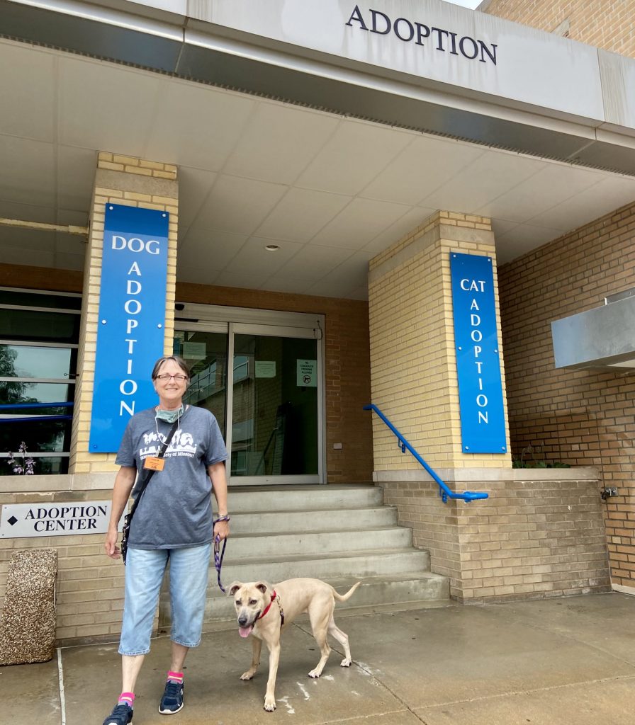 HSMO Reopens to the Public, Announces Several Policy Changes Humane