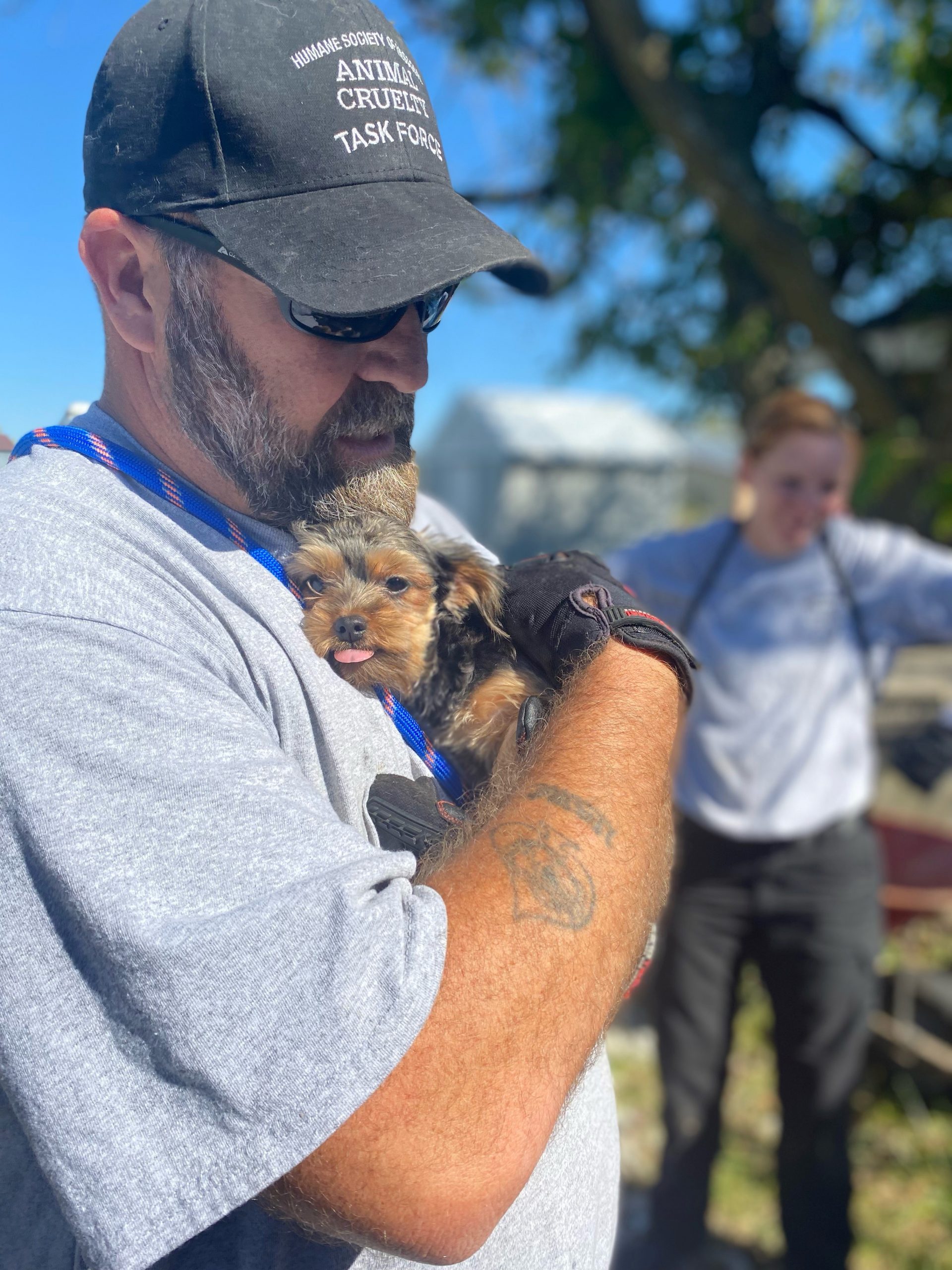 HSMO’s Animal Cruelty Task Force Rescues Nearly 100 Dogs in Hickory