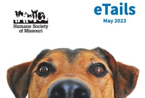 eTails a monthly email publication from the Humane Society of Missouri