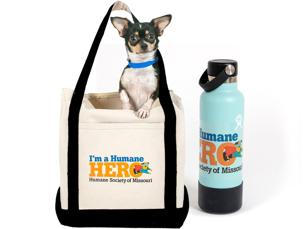 image of Humane Hero tote bag with dog inside and water bottle with Humane Hero decal