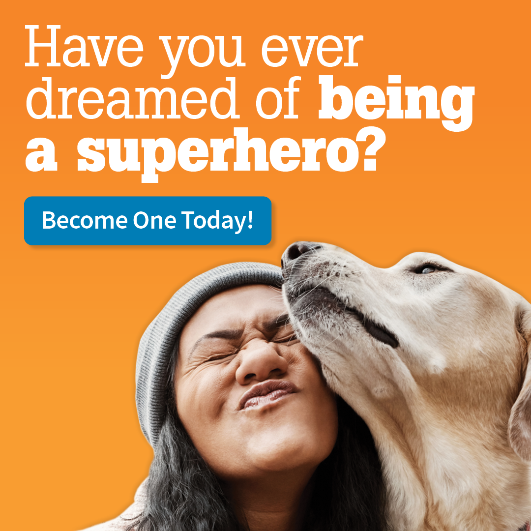 Have you ever dreamed of being a superhero? Find out more!