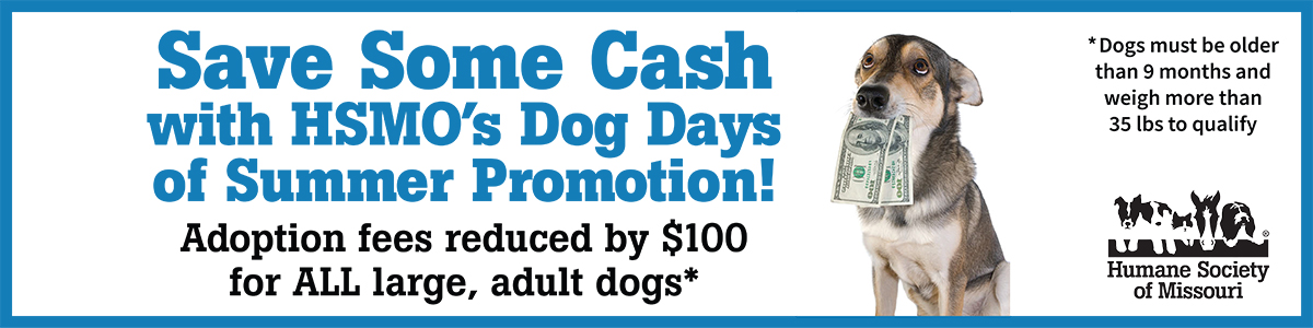 Save some cash with HSMO's Dog Days of Summer promotion on large dog adoptions
