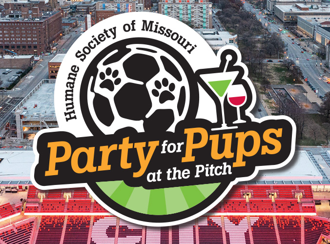Party for Pups at the Pitch