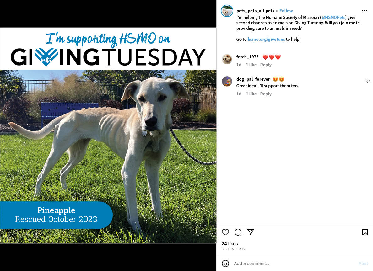 Giving Tuesday sample Instagram post