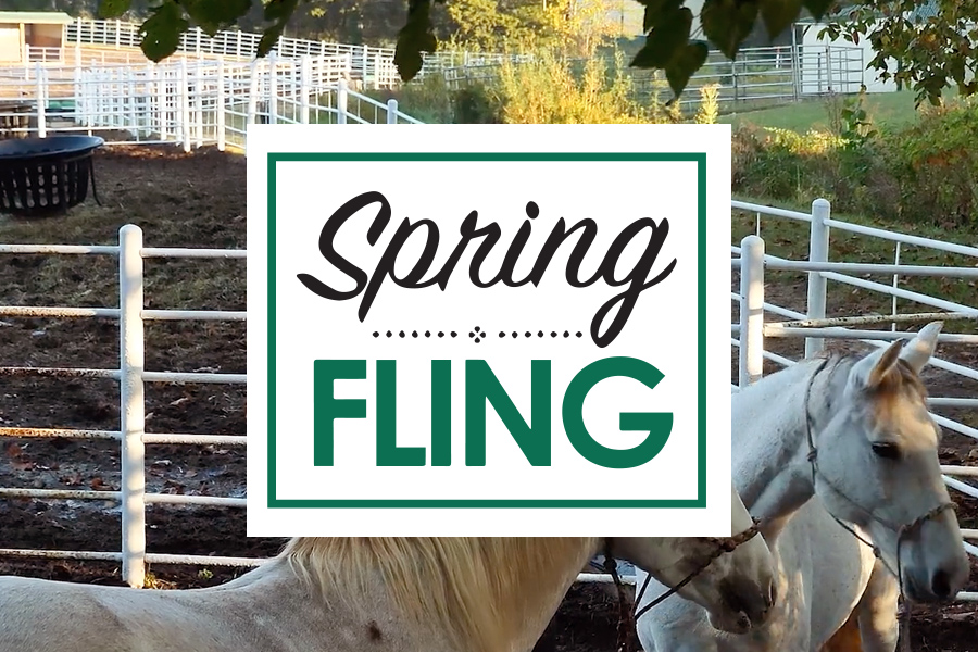 Spring Fling at Longmeadow Rescue Ranch