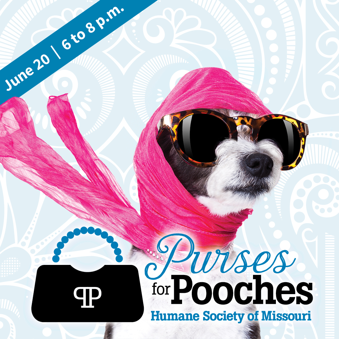 Purses for Pooches 2024