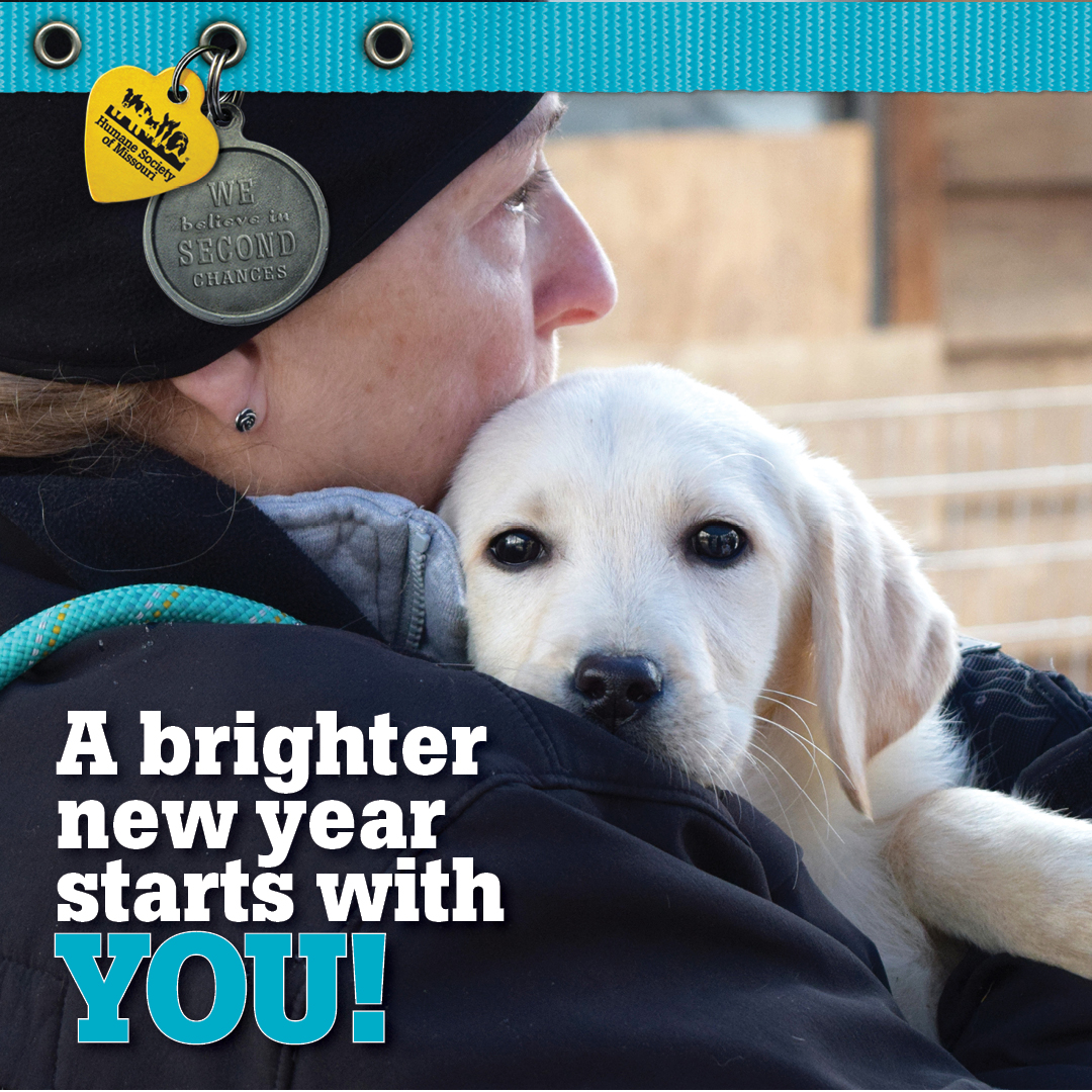 A brighter new year starts with YOU!