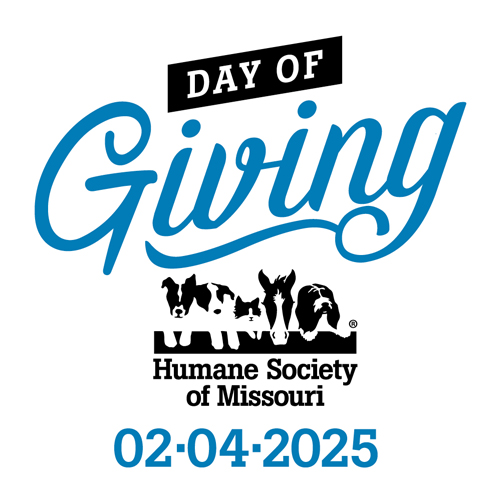 Humane Society of Missouri Day of Giving Feb. 4, 2025