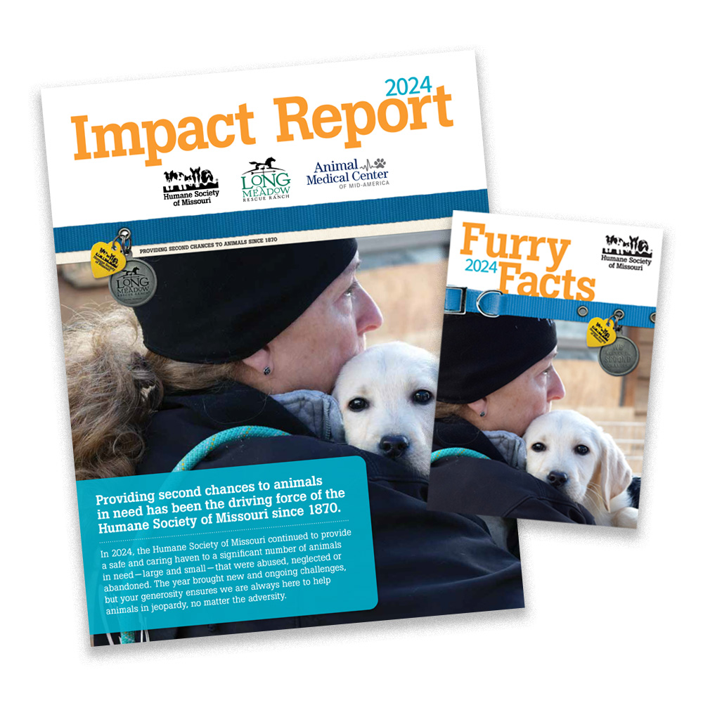 HSMO Impact Report + Furry Facts publications