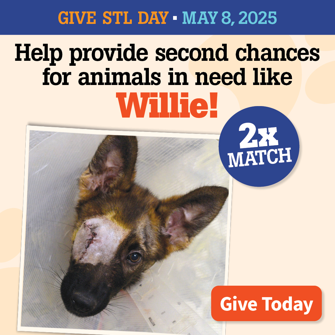 Give STL 2025 | Give Today