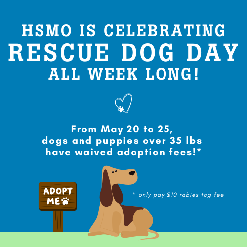 Rescue Dog Day Promo May 20-25