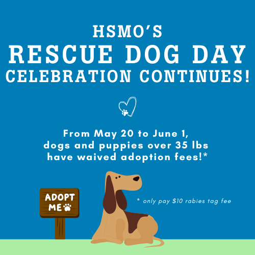 Rescue Dog Day Promo May 20 through June 1