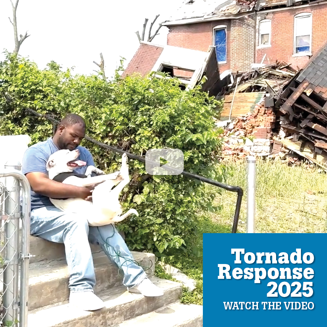 Tornado Response 2025 watch the video