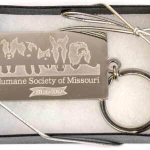 HSMO Keychain