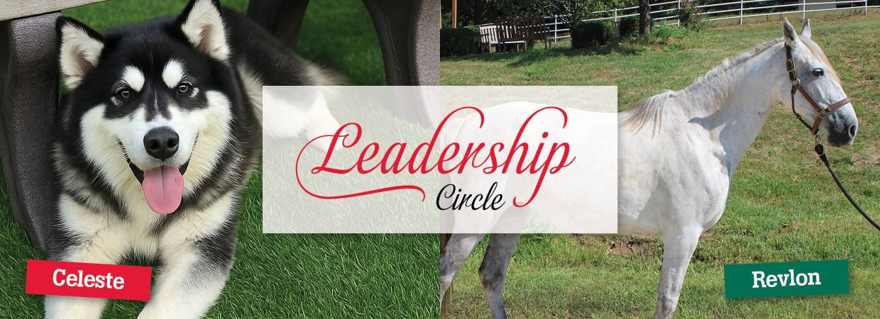Leadership Circle | Meet Celeste + Revlon