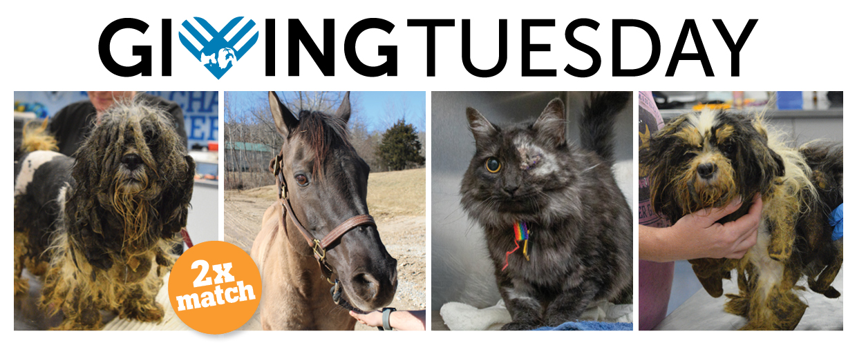 Giving Tuesday 2025 2x match