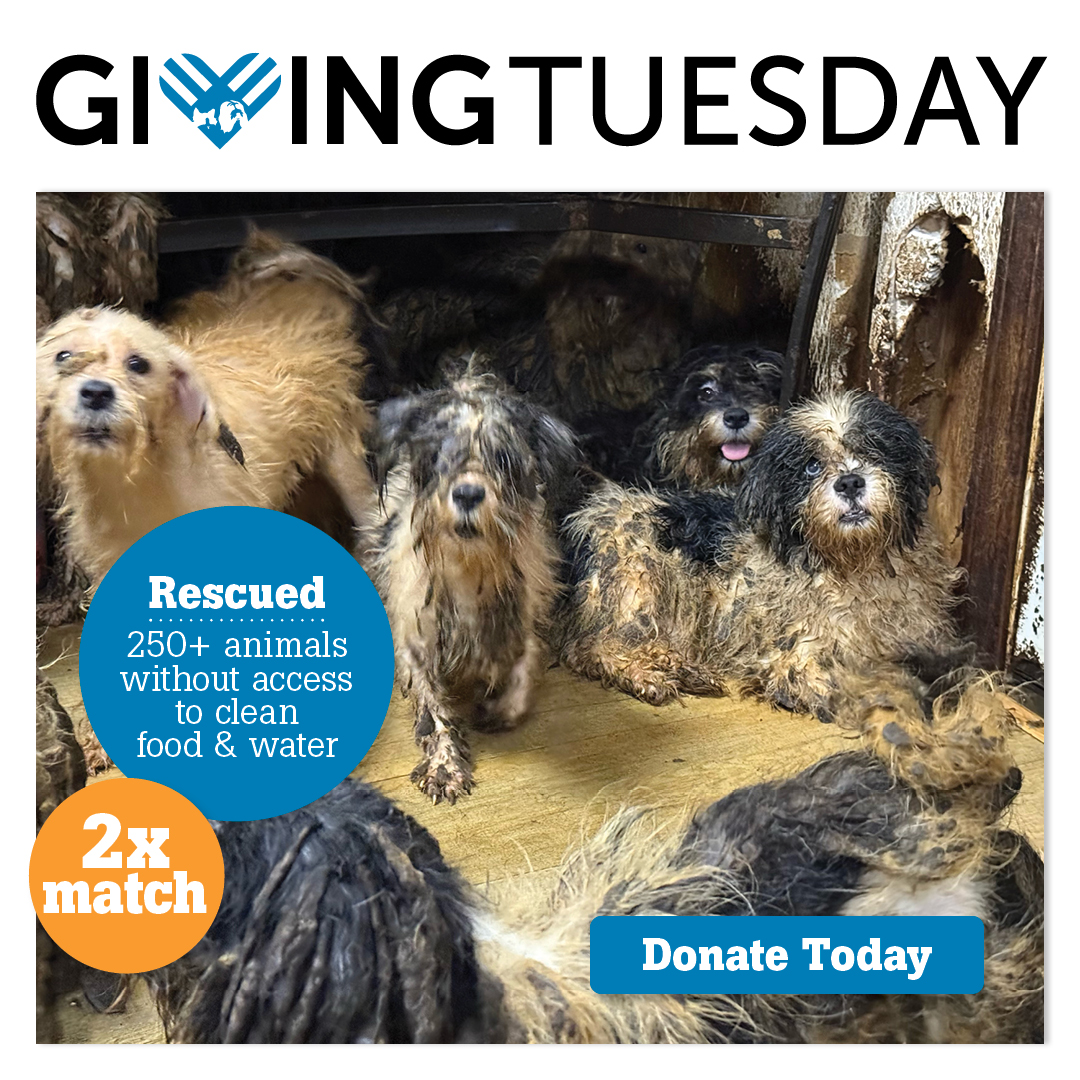 Giving Tuesday 2x match donate today