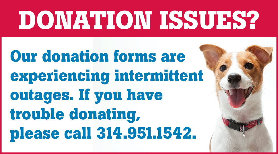 Donation issues? Please call 314.951.1542.