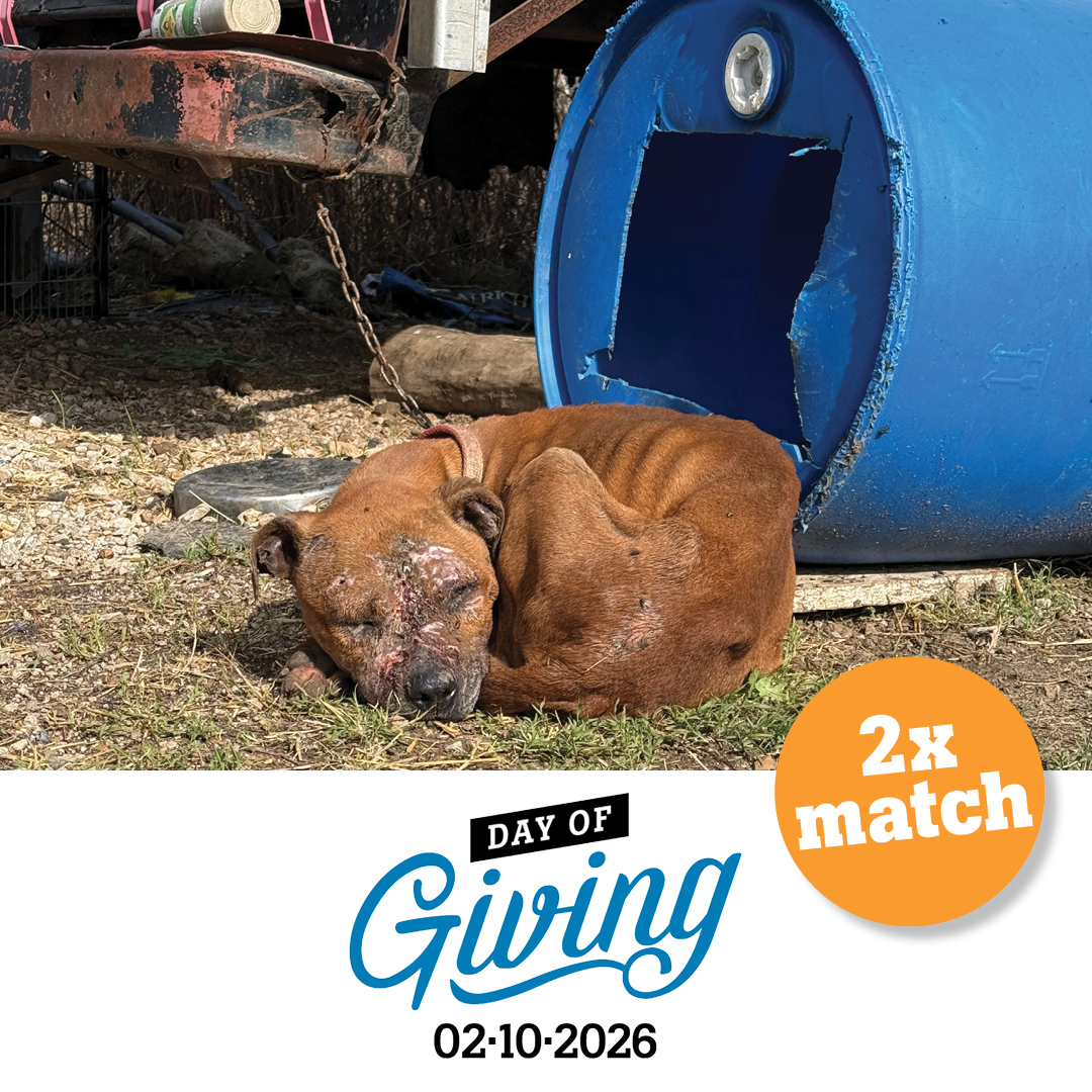Day of Giving 2026 | 2x match