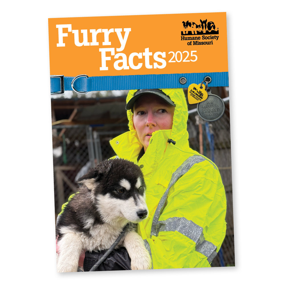 Furry Facts 2025 cover