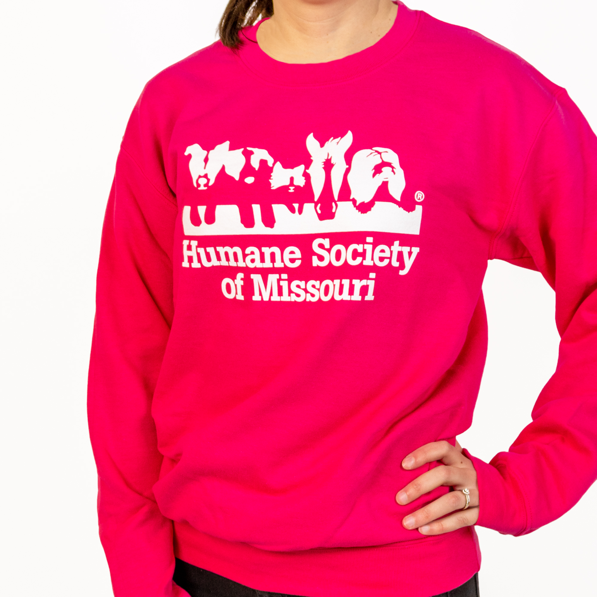 HSMO Crewneck Sweatshirt - Pink