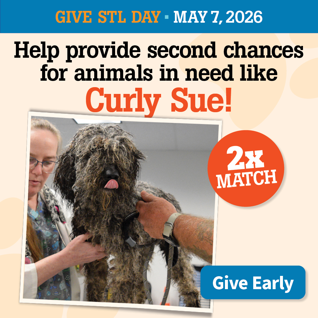 Give STL Day Give Early | Provide second chances to animals