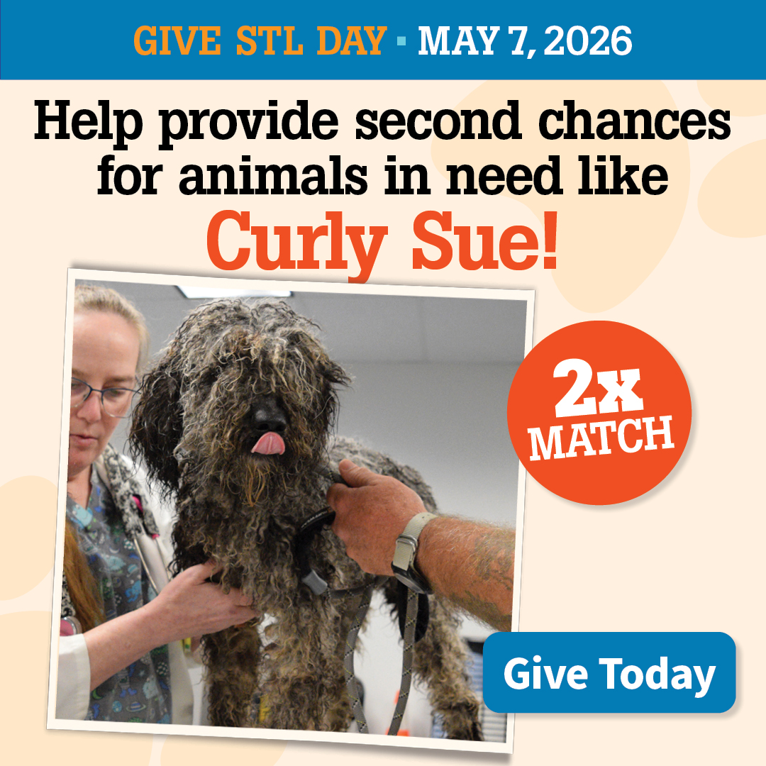 Give STL Day Give Early | Provide second chances to animals