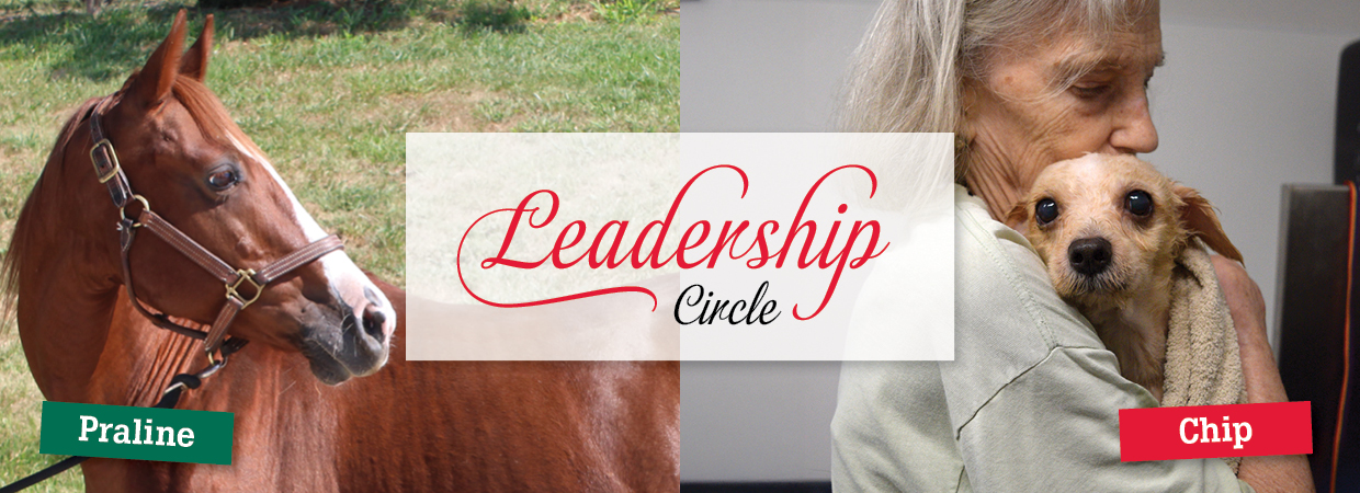 Leadership Circle | meet Chip + Praline