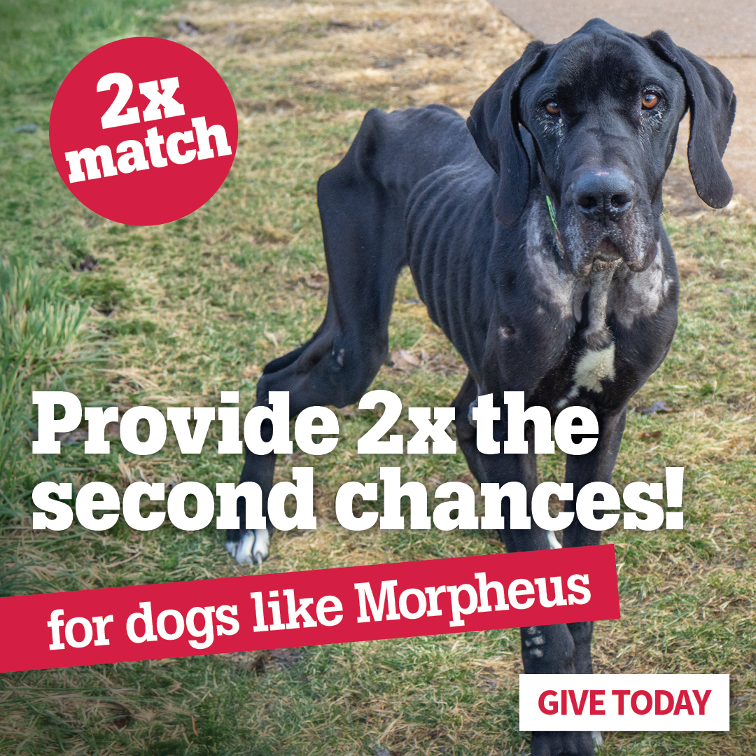 Provide 2x the second chances