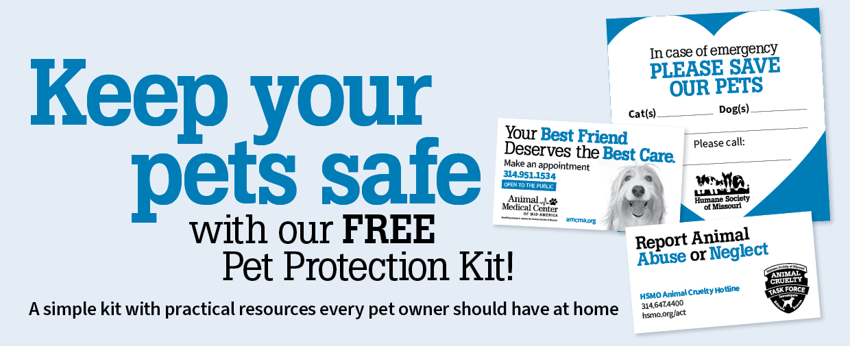 Keep your pets safe with our free pet protection kit
