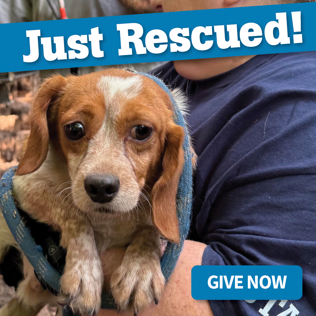 Lawrence County Rescue