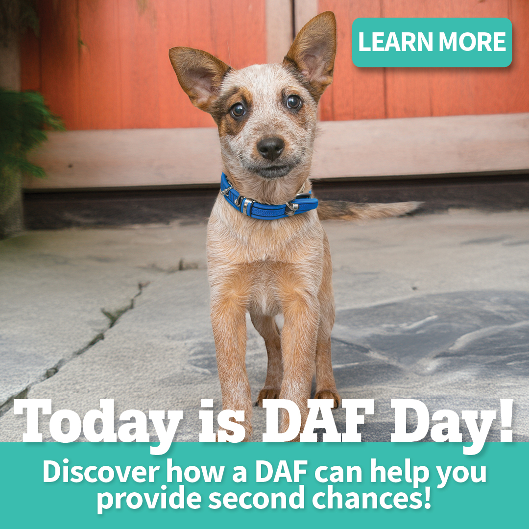 Today is DAF Day | Discover how a DAF can help you provide second chances